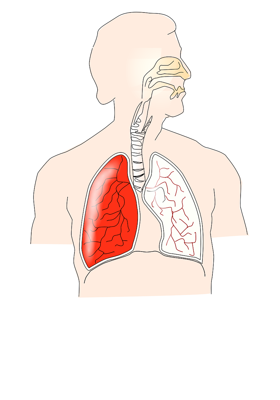 肺结节能够消除吗 肺有结节怎么办