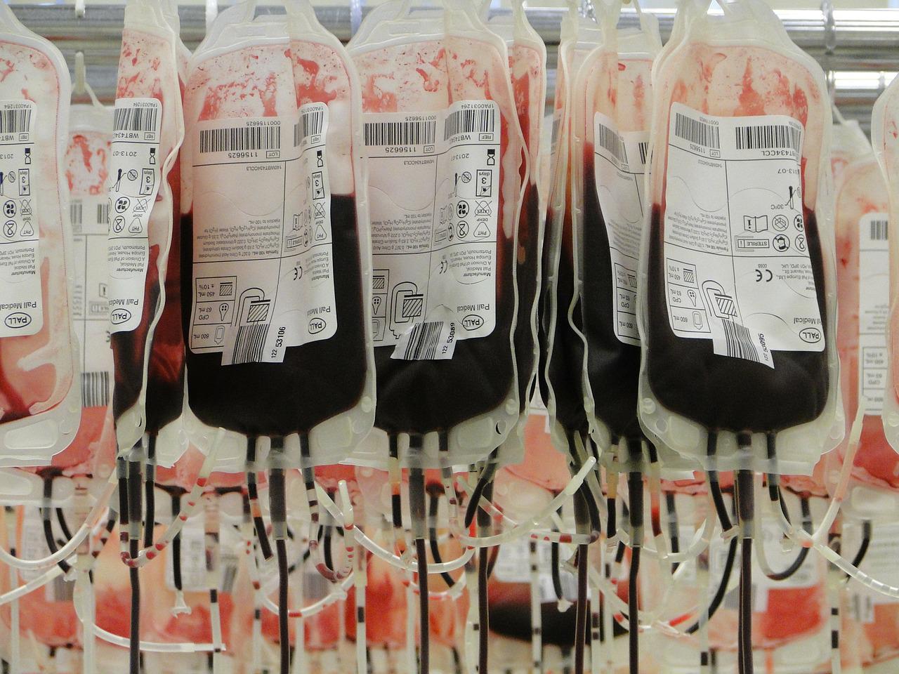 世界无偿献血日|献血后能吃什么