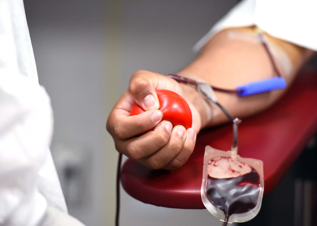 世界献血日|献血对身体有什么害处？