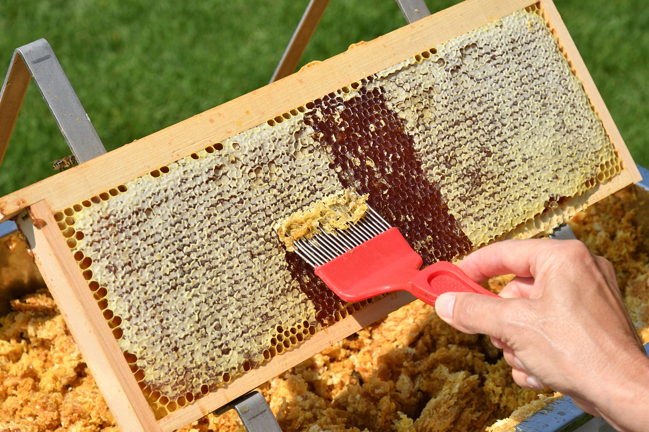 蜂蜜水减肥法 蜂蜜水可以解酒吗