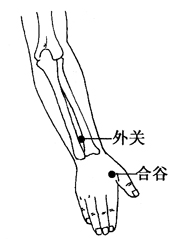 合谷穴