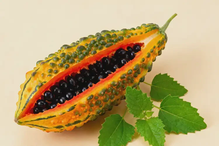 病后恢复期三伏天可以吃金铃子吗(图4)