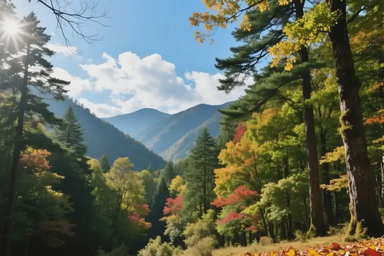 国庆去湖北神农架林区旅游会有基孔肯雅热吗(图2)