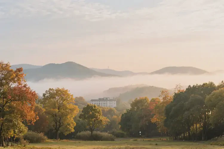 国庆去江苏镇江旅行必备药物清单(图3)