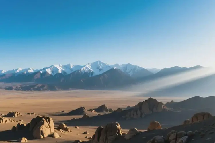 新疆哈密康復(fù)科看腰背痛多少錢(圖4)