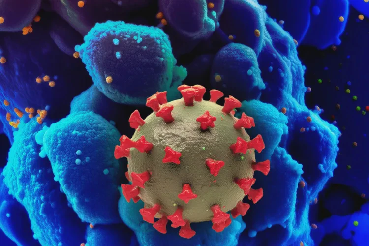 文山感染科珠海最好医院(图3)