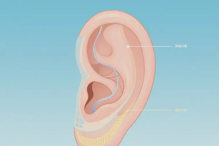2025年安徽六安招风耳矫正做的最好的医生(图4)