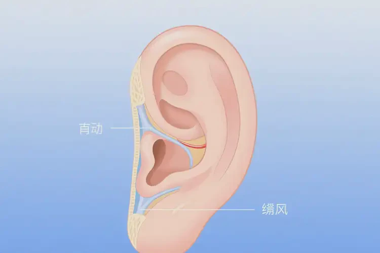 2025年安徽六安招风耳矫正做的最好的医生(图2)