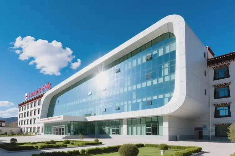 日喀則血液科醫(yī)院三甲醫(yī)院(圖3)