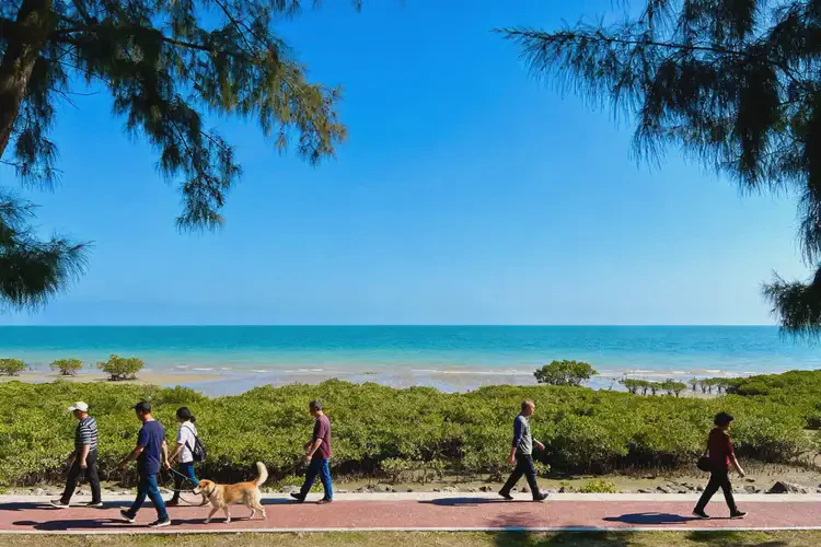 廣西北海有什么預(yù)防焦慮癥的方法(圖2)