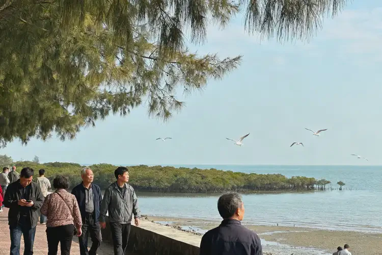 廣西北海有什么預(yù)防焦慮癥的方法(圖4)