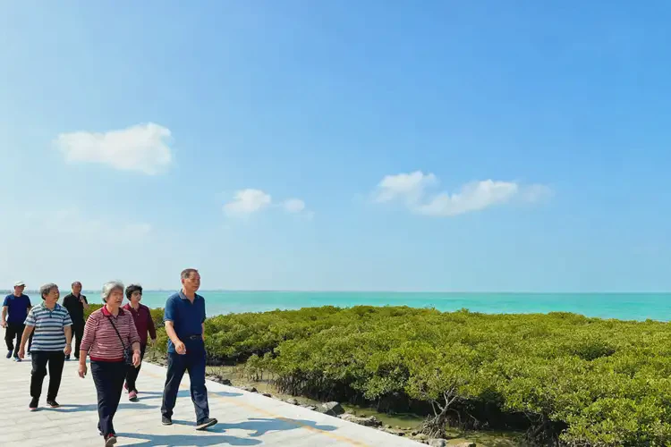 廣西北海有什么預(yù)防焦慮癥的方法(圖3)