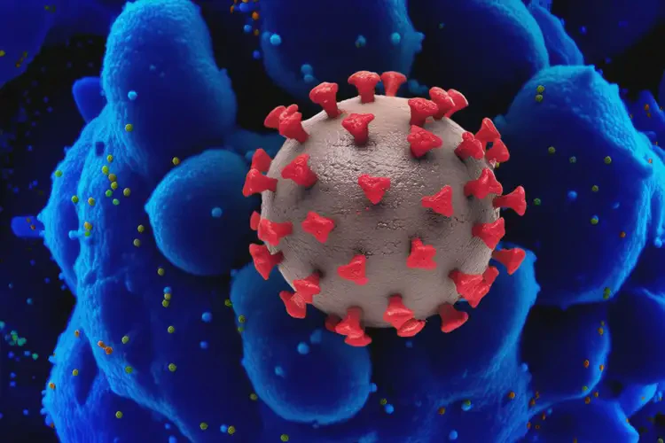 烏魯木齊感染科比較好的醫(yī)院(圖2)