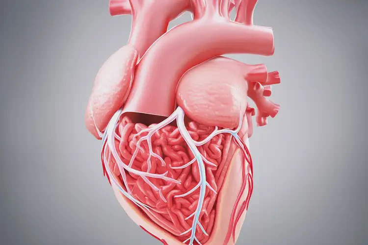 鄂州心臟外科哪個(gè)醫(yī)院好(圖2)