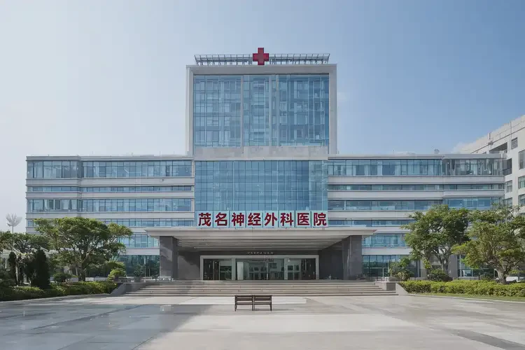 茂名神經(jīng)外科醫(yī)院排名(圖1)