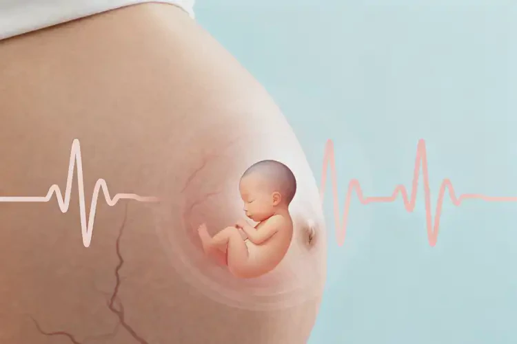 孕15周胎心163怎么回事(圖3)