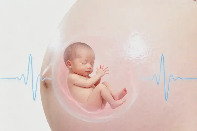 孕15周胎心163怎么回事(圖2)