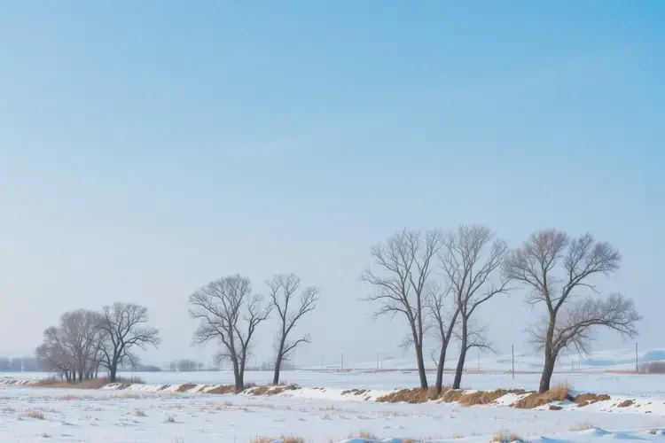 2025年新疆北屯C10祛斑哪家做的好(圖4)