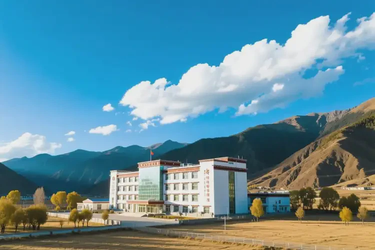 西藏昌都去醫(yī)院檢查躁狂癥貴嗎(圖1)