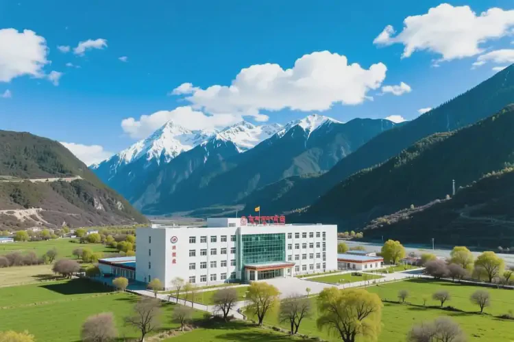 西藏林芝去醫(yī)院檢查游戲癮貴嗎(圖1)