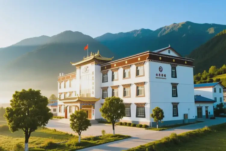 西藏林芝去醫(yī)院檢查游戲癮貴嗎(圖2)