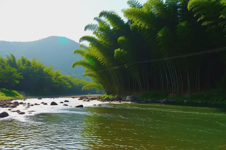 2025年海南白沙鼻綜合哪家做的好(圖2)