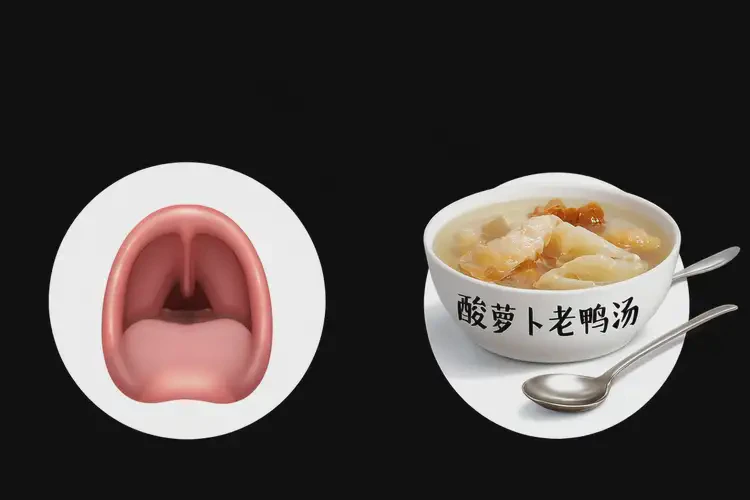 咽喉腫痛可以喝酸蘿卜老鴨湯調(diào)理嗎(圖1)