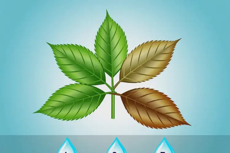 重慶康復(fù)科看喉嚨痛要多久(圖4)