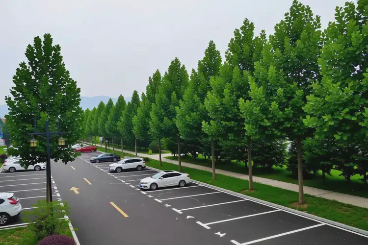 2025年山西忻州放療科醫(yī)院(圖2)