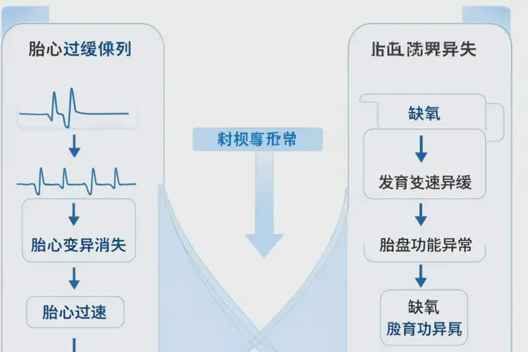 懷孕第36周胎心率70左右寶寶還能要嗎(圖3)