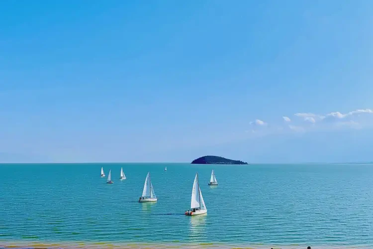 云南大理檢查精神分裂癥一般多少錢(圖2)