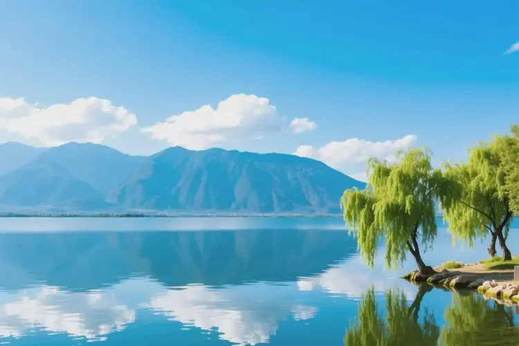 云南大理檢查精神分裂癥一般多少錢(圖4)