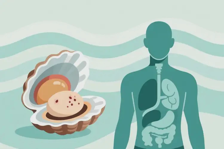 痤瘡患者可以長(zhǎng)期吃海虹嗎(圖1)