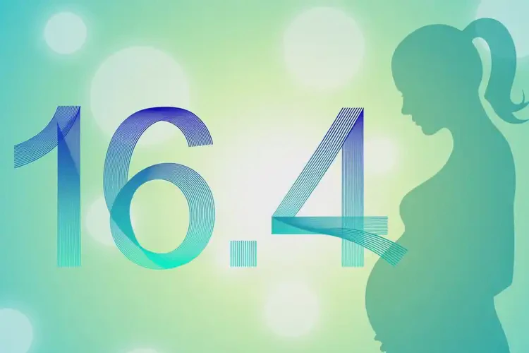 孕婦中餐血糖16(圖1)