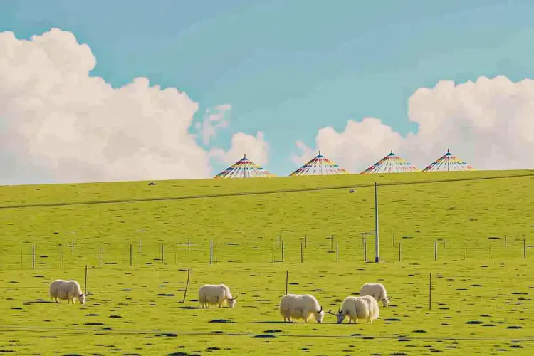 甘肅甘南玫瑰痤瘡治療可以走醫(yī)保嘛(圖4)