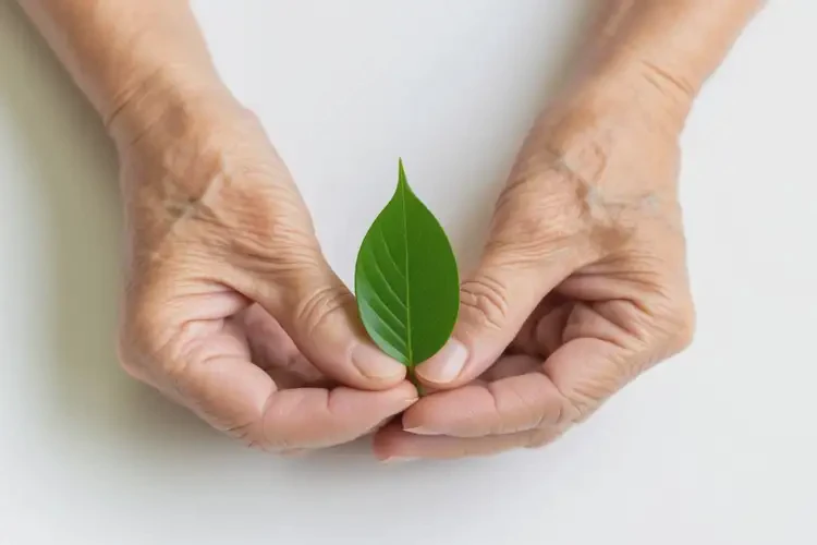 老年人手上出現(xiàn)濕疹可以自愈嗎(圖2)