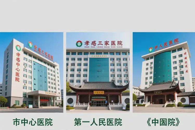 湖北孝感玫瑰痤瘡調(diào)理哪個(gè)醫(yī)院劃算(圖1)