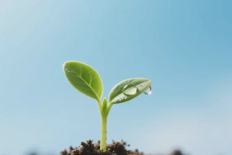 女人早上血糖4點(diǎn)0是糖尿病嗎(圖4)