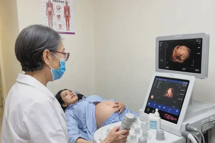 早期妊娠胎心率100怎么回事(圖3)