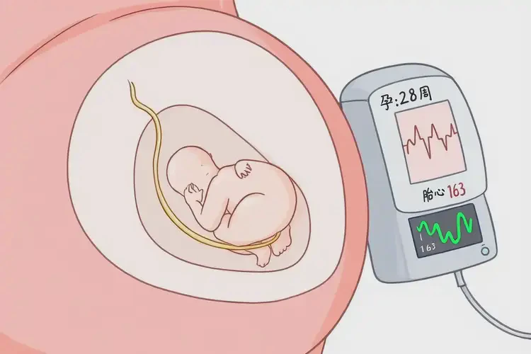 孕28周胎心163還要保胎嗎(圖4)