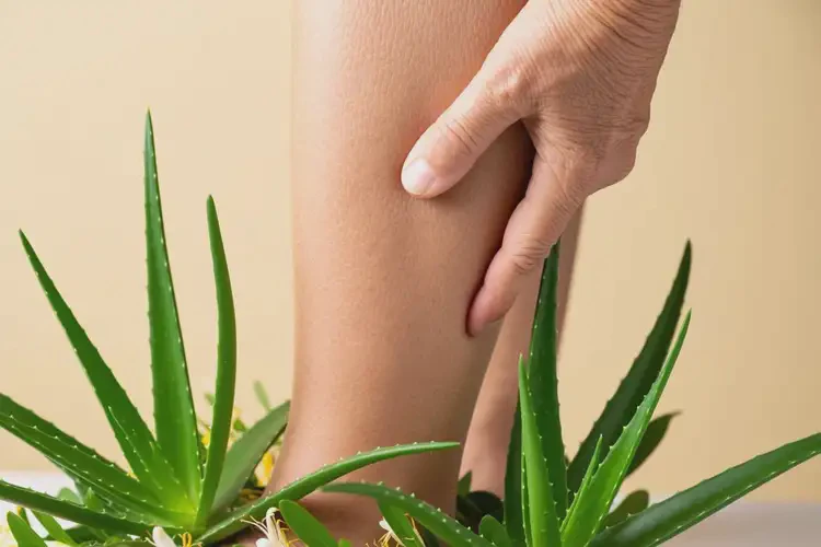 老年人小腿出現(xiàn)濕疹可不可以徹底自愈(圖4)