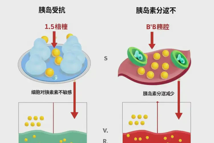 女人中餐血糖13點(diǎn)3是糖尿病嗎(圖3)