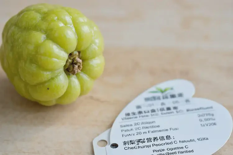 中老年人糖尿病早上能吃刺梨吗(图3)