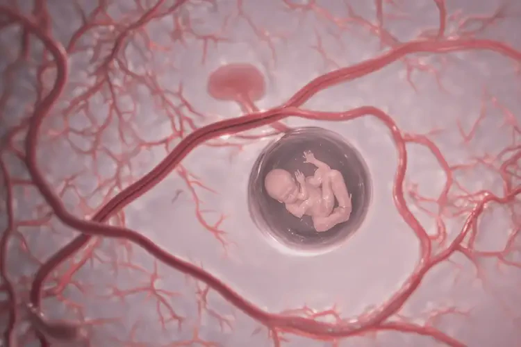 懷孕10天胎心78有危險(xiǎn)嗎(圖4)