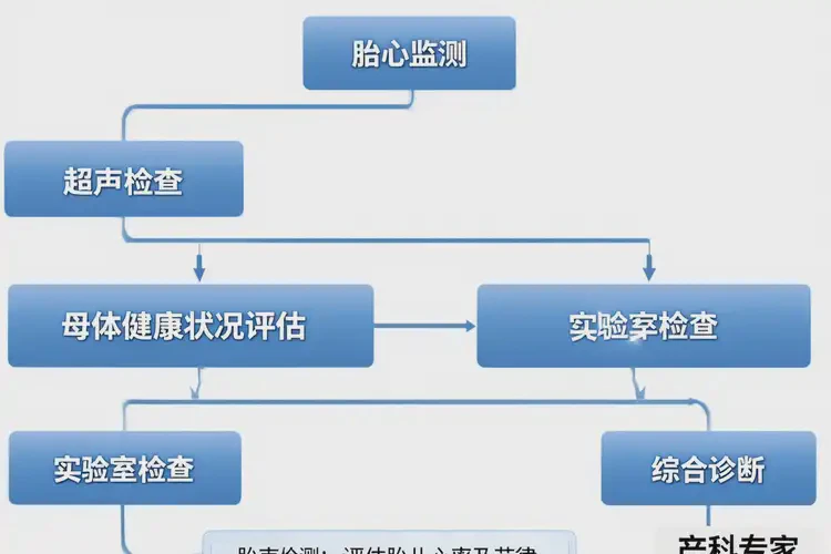 孕14周3天胎心82還要保胎嗎(圖1)