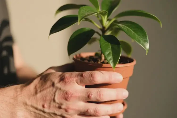 男人身上有濕疹可不可以徹底自愈(圖3)