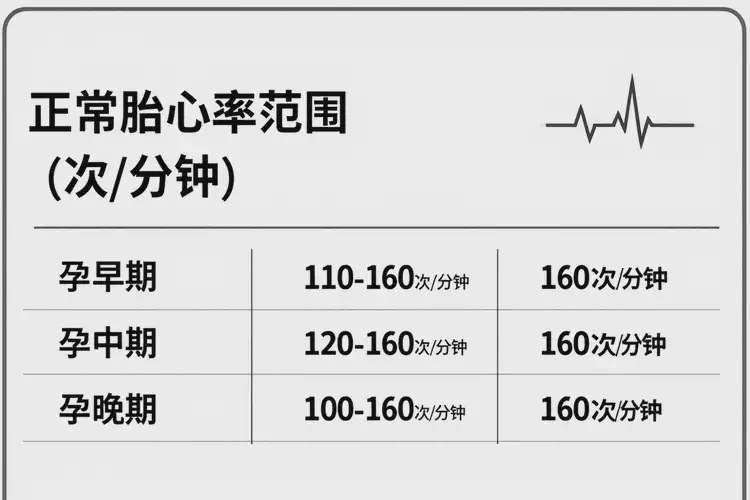 懷孕八個半月胎心132正常嗎(圖3)