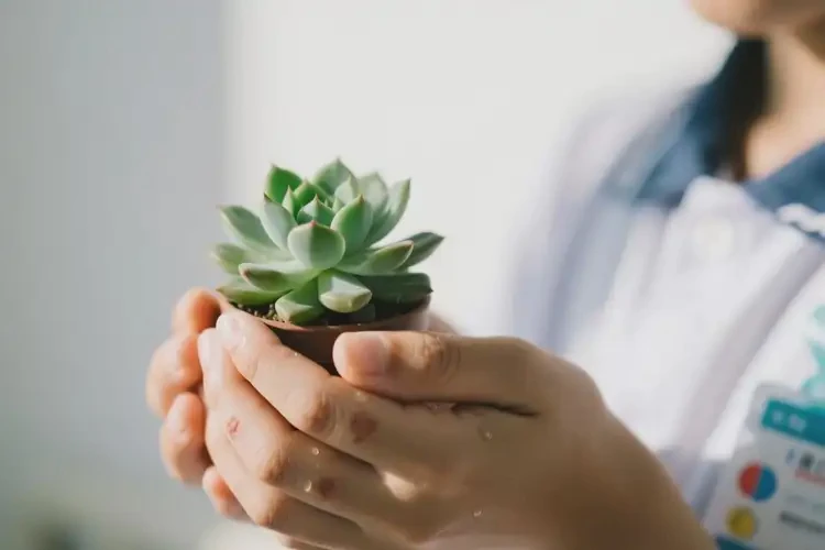 中學(xué)生手上偶爾長濕疹能夠徹底治愈嗎(圖1)