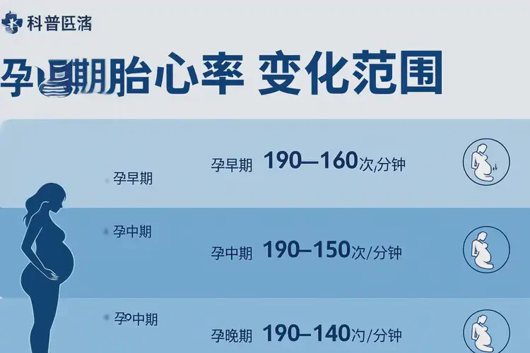 孕6周6天胎心113正常嗎(圖2)
