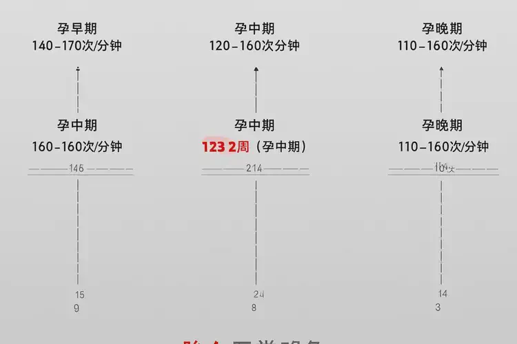 孕32周胎心134正常嗎(圖1)